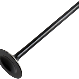 Exhaust Valve