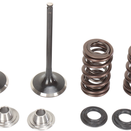 Intake Valve Kit