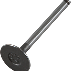 Intake Valve