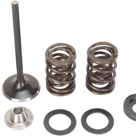 Valve and Spring Kit