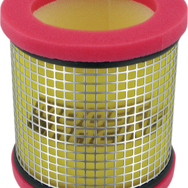 Air Filter - Polaris - 2-Stroke