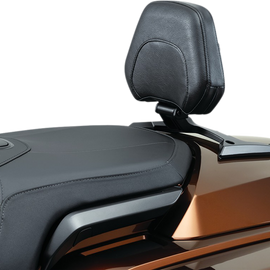 Omni Passenger Backrest