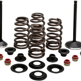 Complete Valve Kit - Evolution/1200