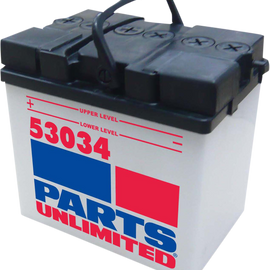 Conventional Battery