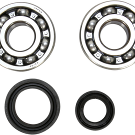 Crank Bearing and Seal Kit