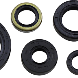 Oil Seal Set - KLX250