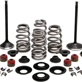 Complete Valve Kit - Twin Cam805