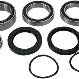 Chain Case Bearing and Seal Kit