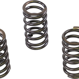 Intake/Exhaust Valve Springs