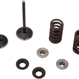 Intake Valve Kit