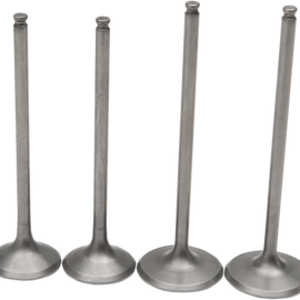 Valve Kit