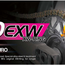 520 EXW - Chain - 120 Links