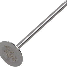 Intake Valve