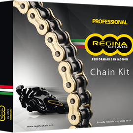 Chain and Sprocket Kit - Ducati - 848 Street Fighter - '12-'15