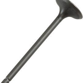 Intake Valve