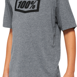 Youth Icon T-Shirt - Gray - XL