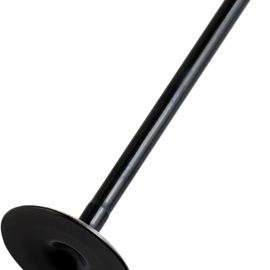 Intake Valve