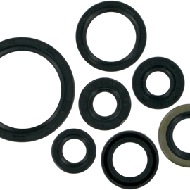 Motor Seals - KLX/DRZ400