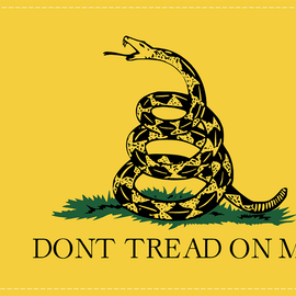 Don't Tread Flag - 6" x 9"