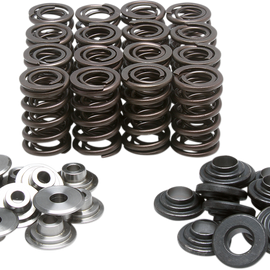 Valve Spring Kit