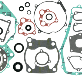 Motor Gasket Kit with Seal - CR250