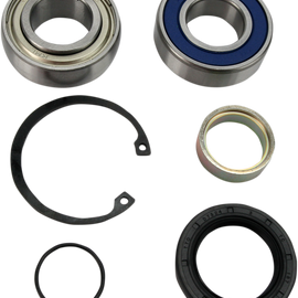 Chain Case Bearing and Seal Kit