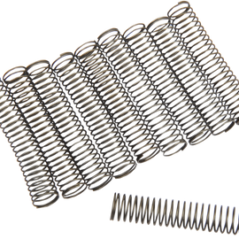 Check Valve Spring