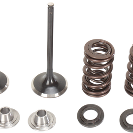 Intake Valve Kit