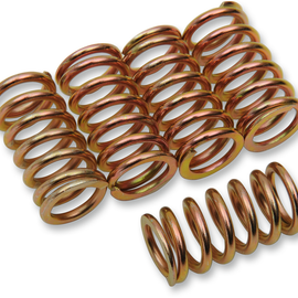 Clutch Springs