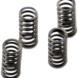 Clutch Springs