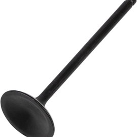 Intake Valve