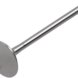 Exhaust Valve