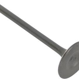 Exhaust Valve