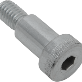 Plow Blade Pivot Bolt