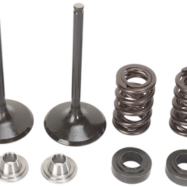 Intake Valve Kit