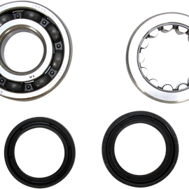 Crank Bearing and Seal Kit