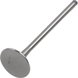 Exhaust Valve