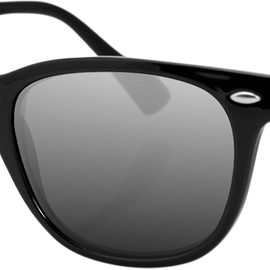 NVS Sunglasses - Gloss Black