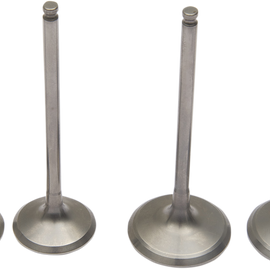 Valve Kit