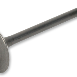 Intake Valve