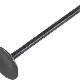 Intake Valve