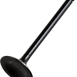 Exhaust Valve