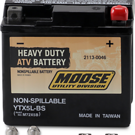 AGM Battery - YTX5L