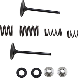 Intake Valve Kit