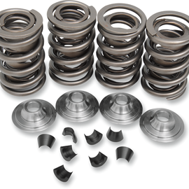 Valve Spring Kit - Big Twin565640