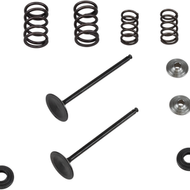 Valve Spring Kit