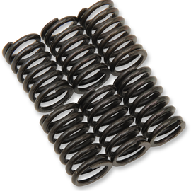 Clutch Spring Kit