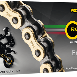 428 ORN Series - Chain - 120 Links