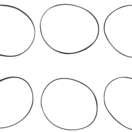 O-Ring