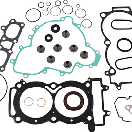 Complete Motor Gasket Kit with Seals - Ace 900